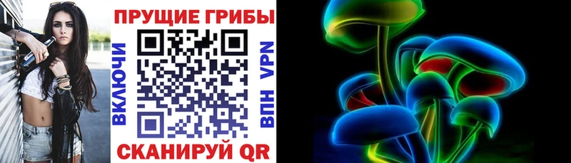 Купить где  Ухта  Галлюциногенные грибы Magic Shrooms 