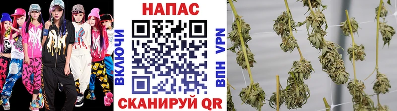 Бошки марихуана сатива  Купить  Ухта 